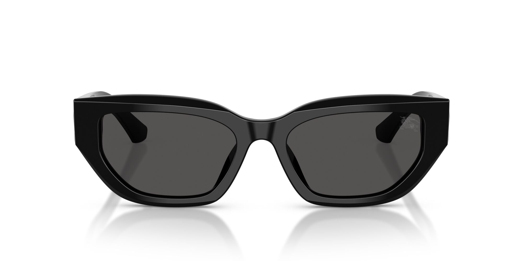 BE4463D 300187 black/grey lens