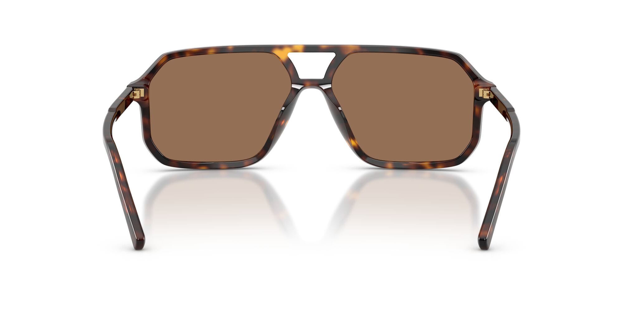 DG4541 502/73 havana/dark brown lens