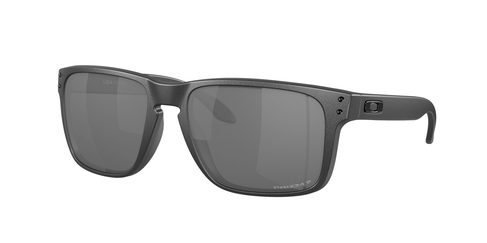Holbrook XL 941730 steel/prizm black polarised lens