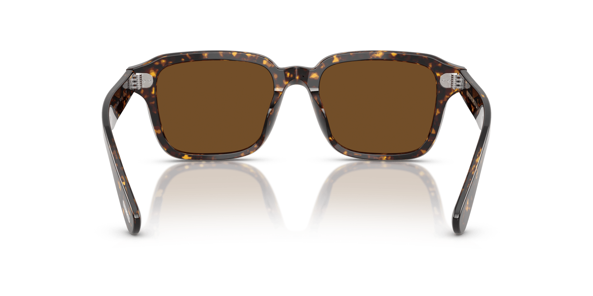 0OV5562SU 174157 size 51 Errisson Atago tortoise/brown polarised lens