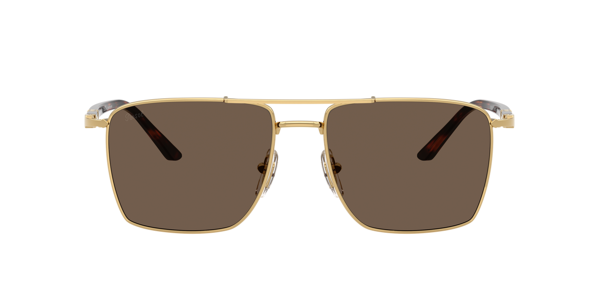 PO1031S 11568T gold plating/dark brown lens sunglasses