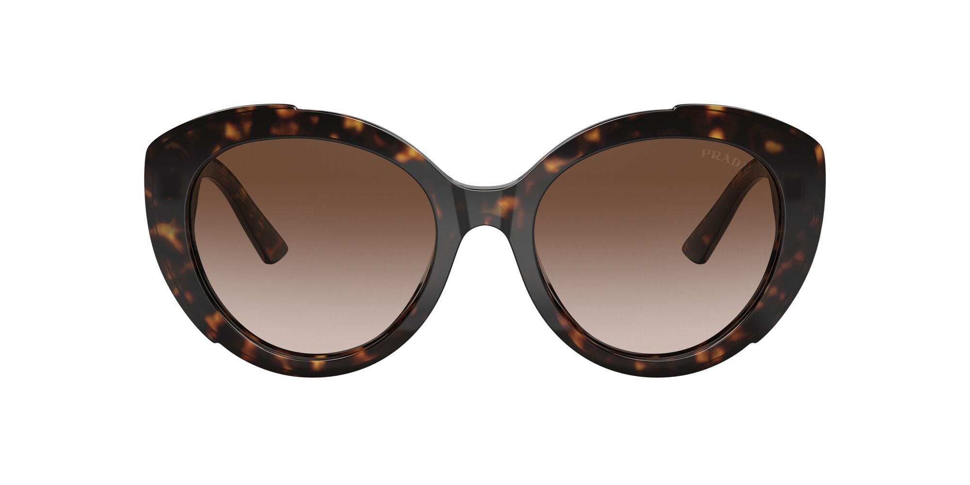 SPR01YS 2AU 6S1 havana brown/gradient lens