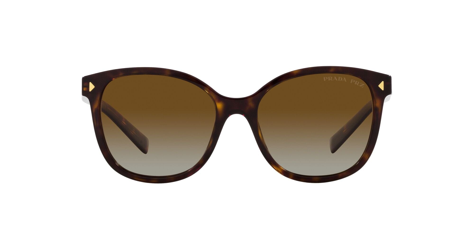 SPR22ZS 2AU6E1 tort/polarised brown gradient lens