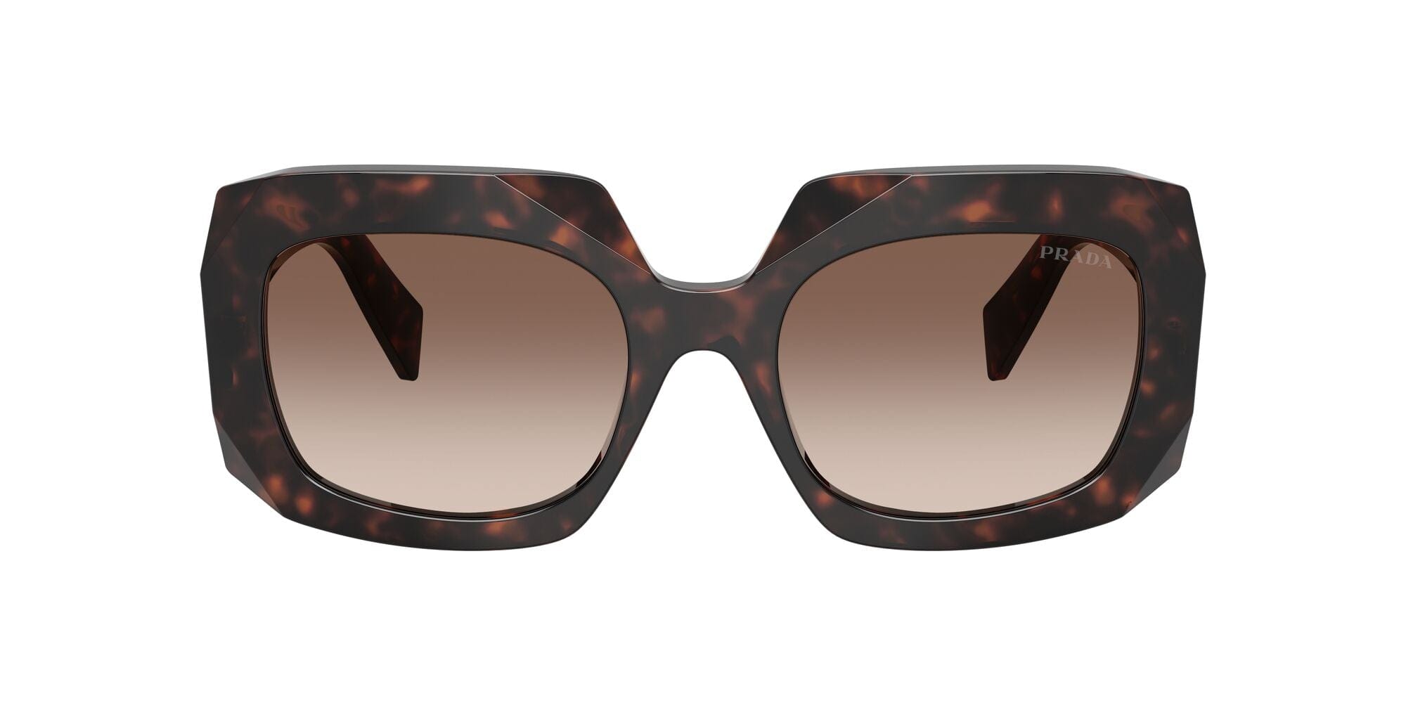 SPRB23S 17N10S root tortoise/brown gradient lens