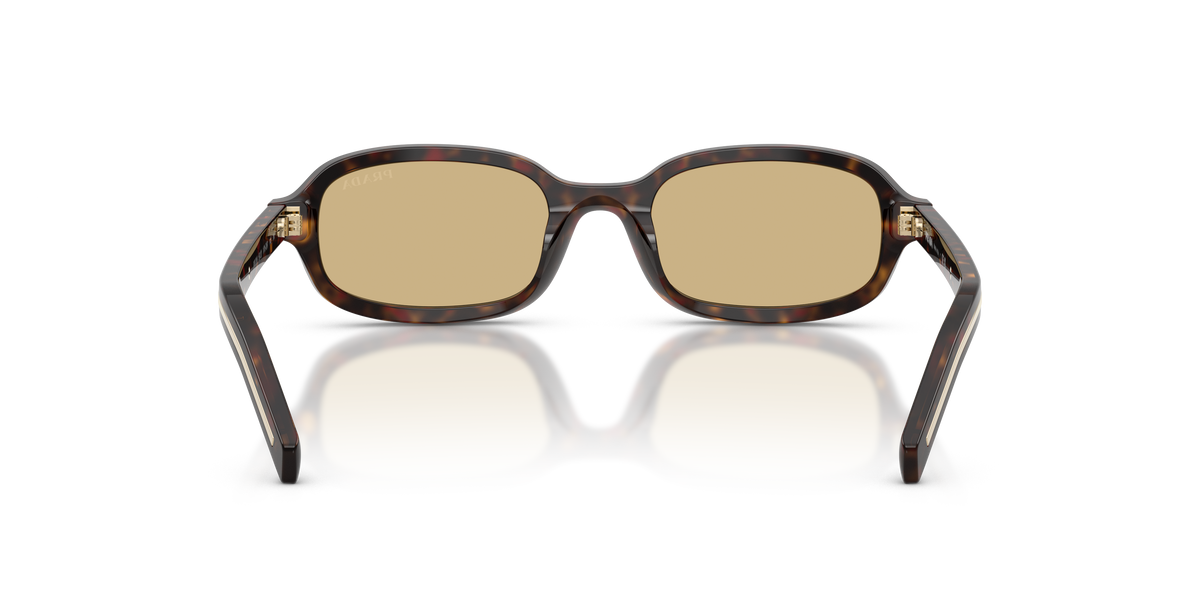 SPRD06S 17N70R root tortoise/light brown lens