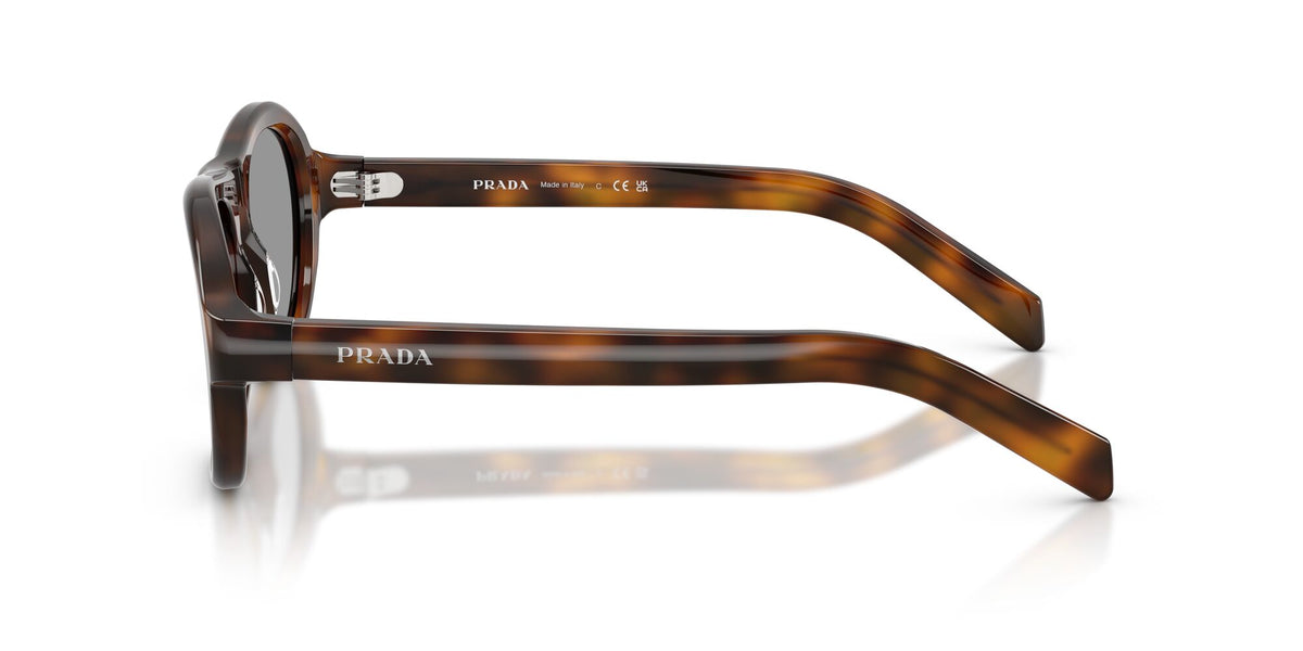 SPRD14S 20D50Q juniper tortoise/grey lens