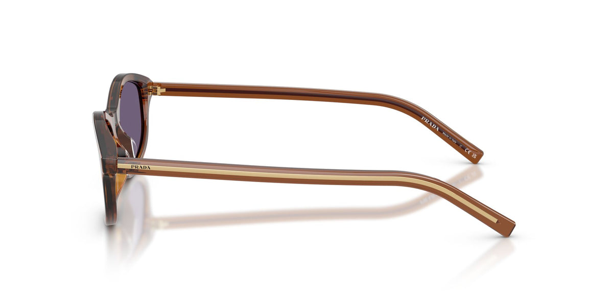 SPRD17S 25070W striped rosewood/violet lens