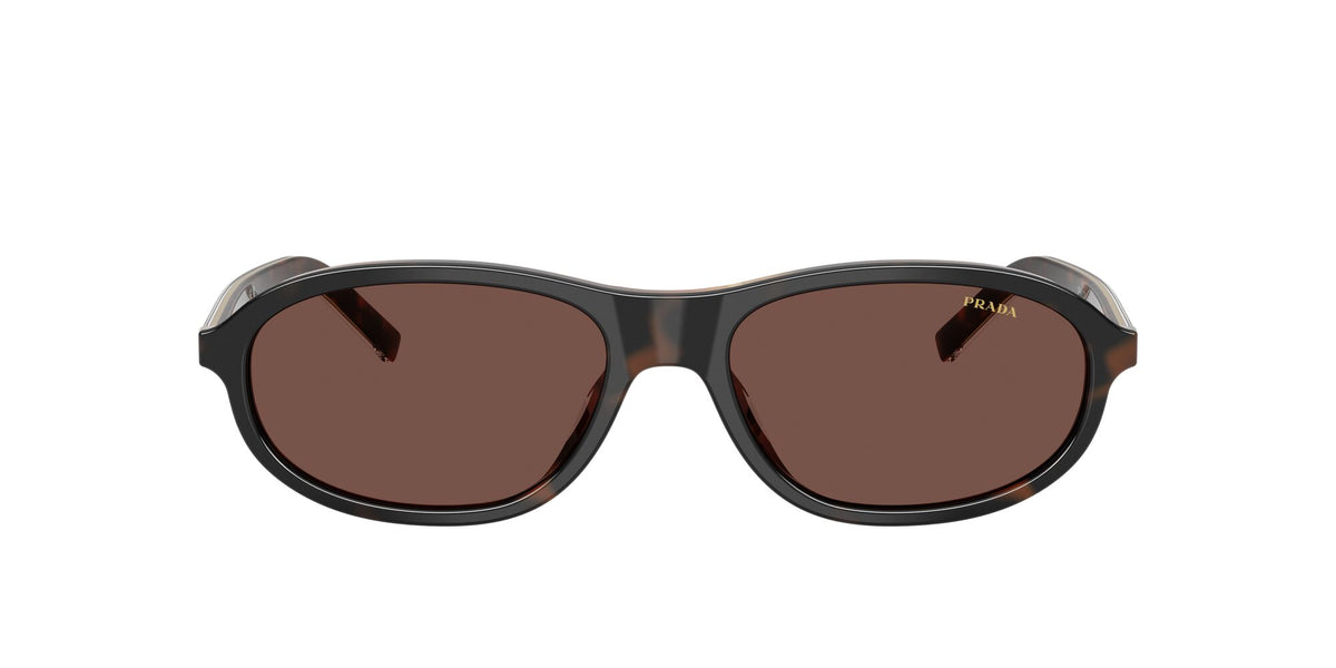 SPRD20SU 20P90W cherry tortoise/tobacco horn w/black chocolate lens