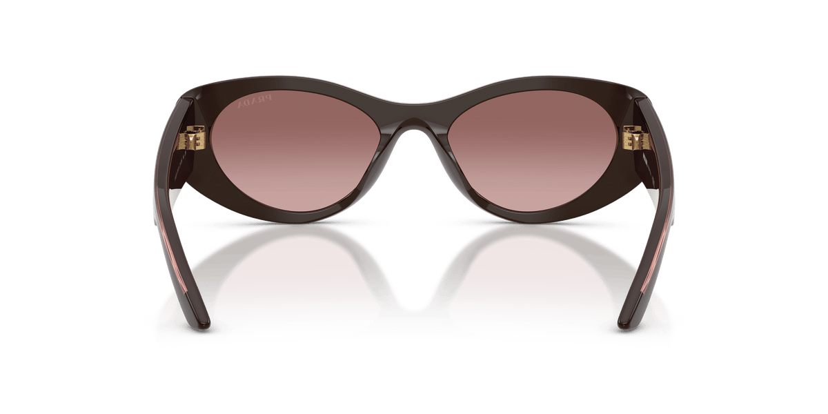 SPRD23SU 271518 cigar/brown gradient violet lens sunglasses