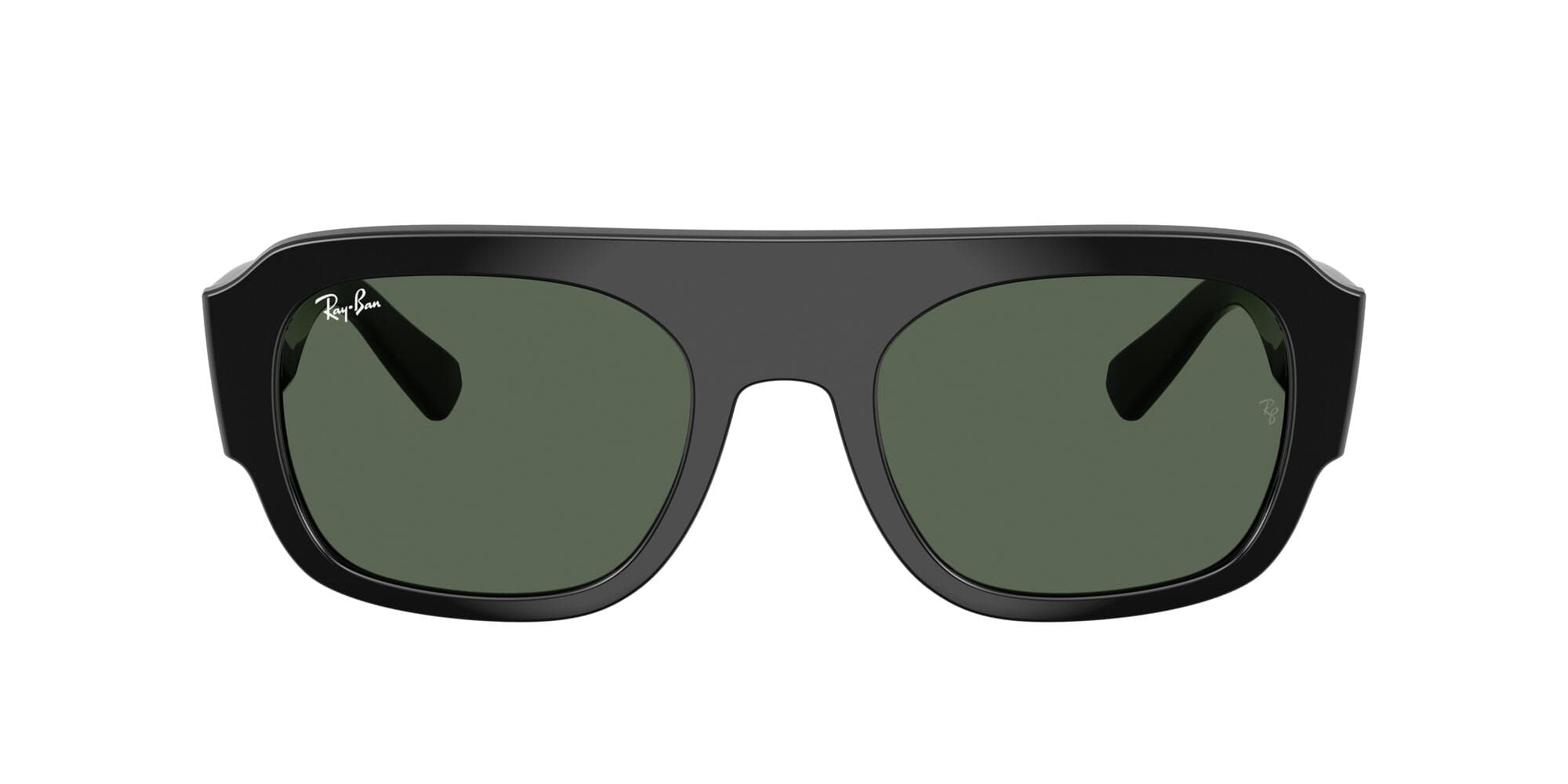 RB2218 667771 black/dark green lens