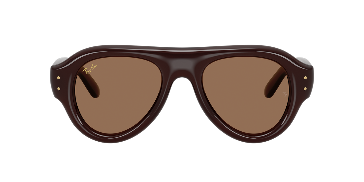RB4925 689673 ASAP rocky transparent dark brown/dark brown lens