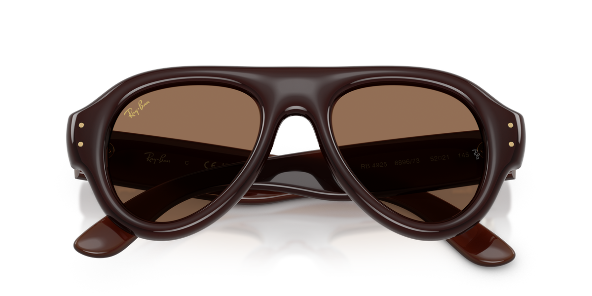 RB4925 689673 ASAP rocky transparent dark brown/dark brown lens