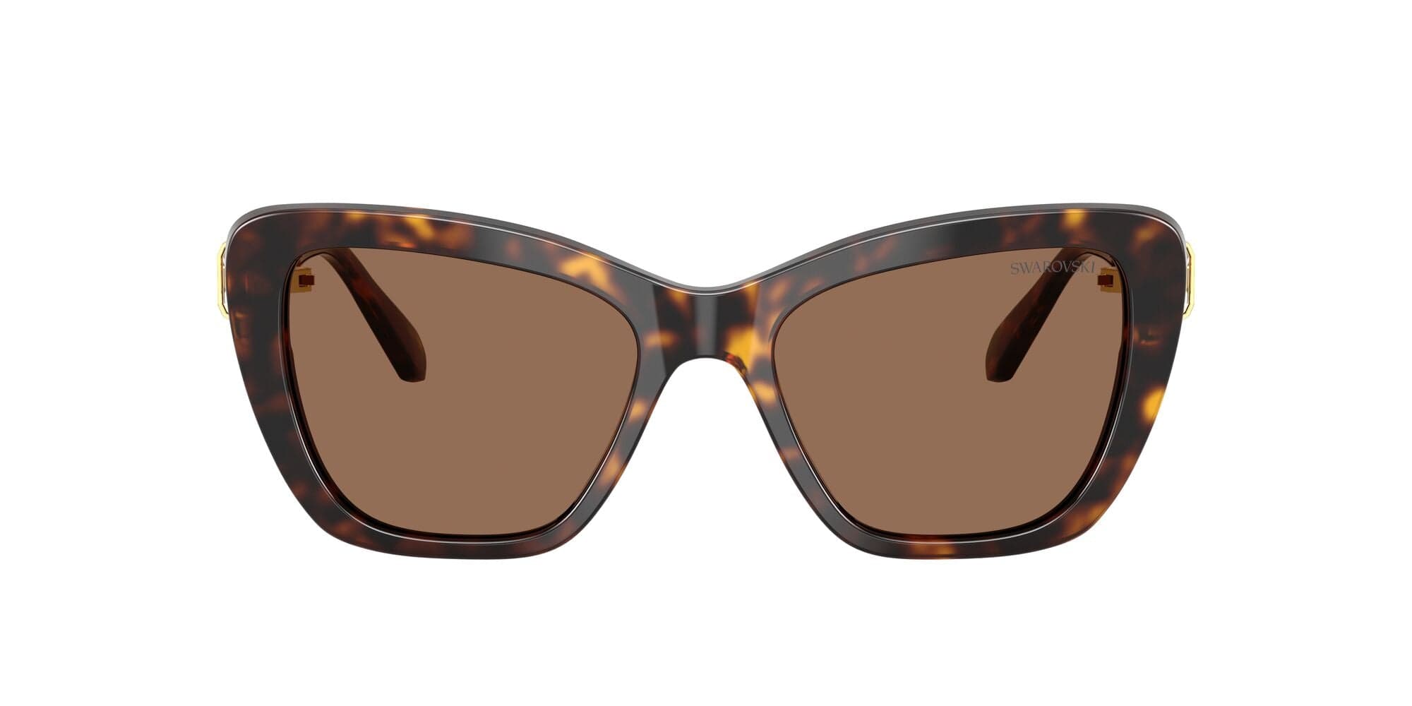 SK6018 100273 havana/dark brown lens