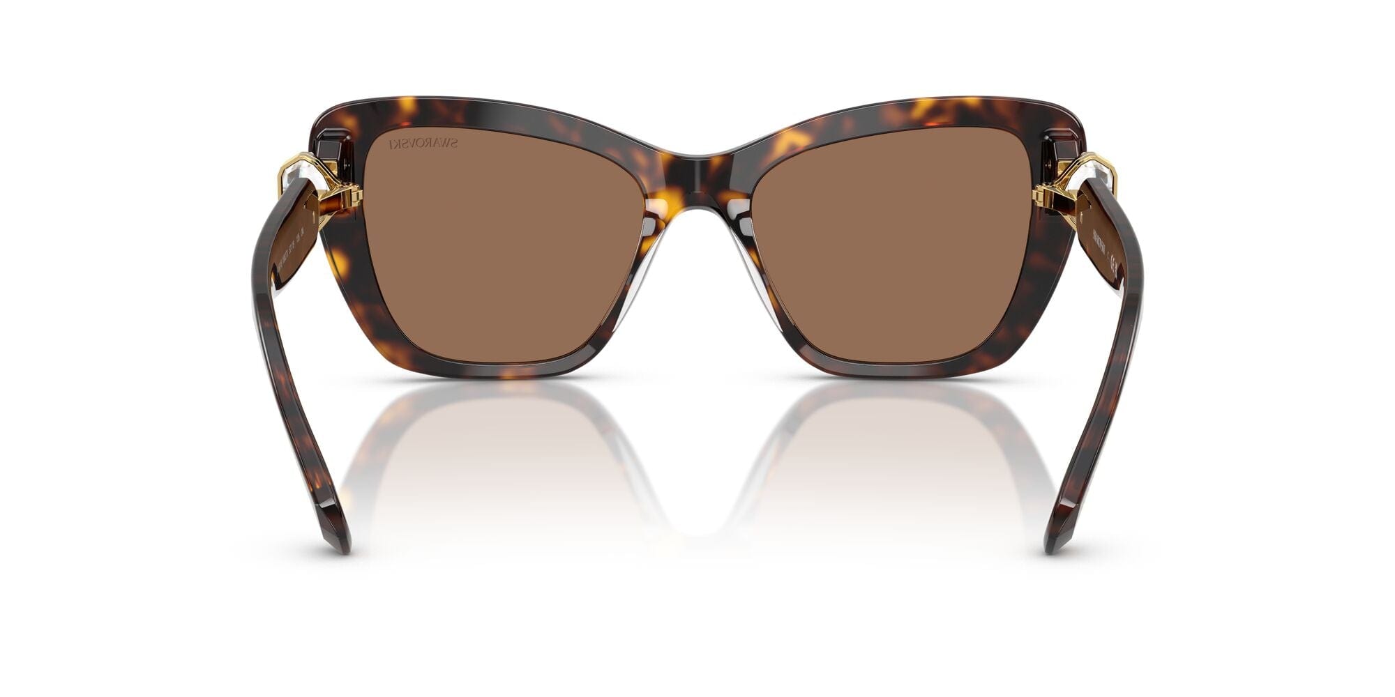 SK6018 100273 havana/dark brown lens