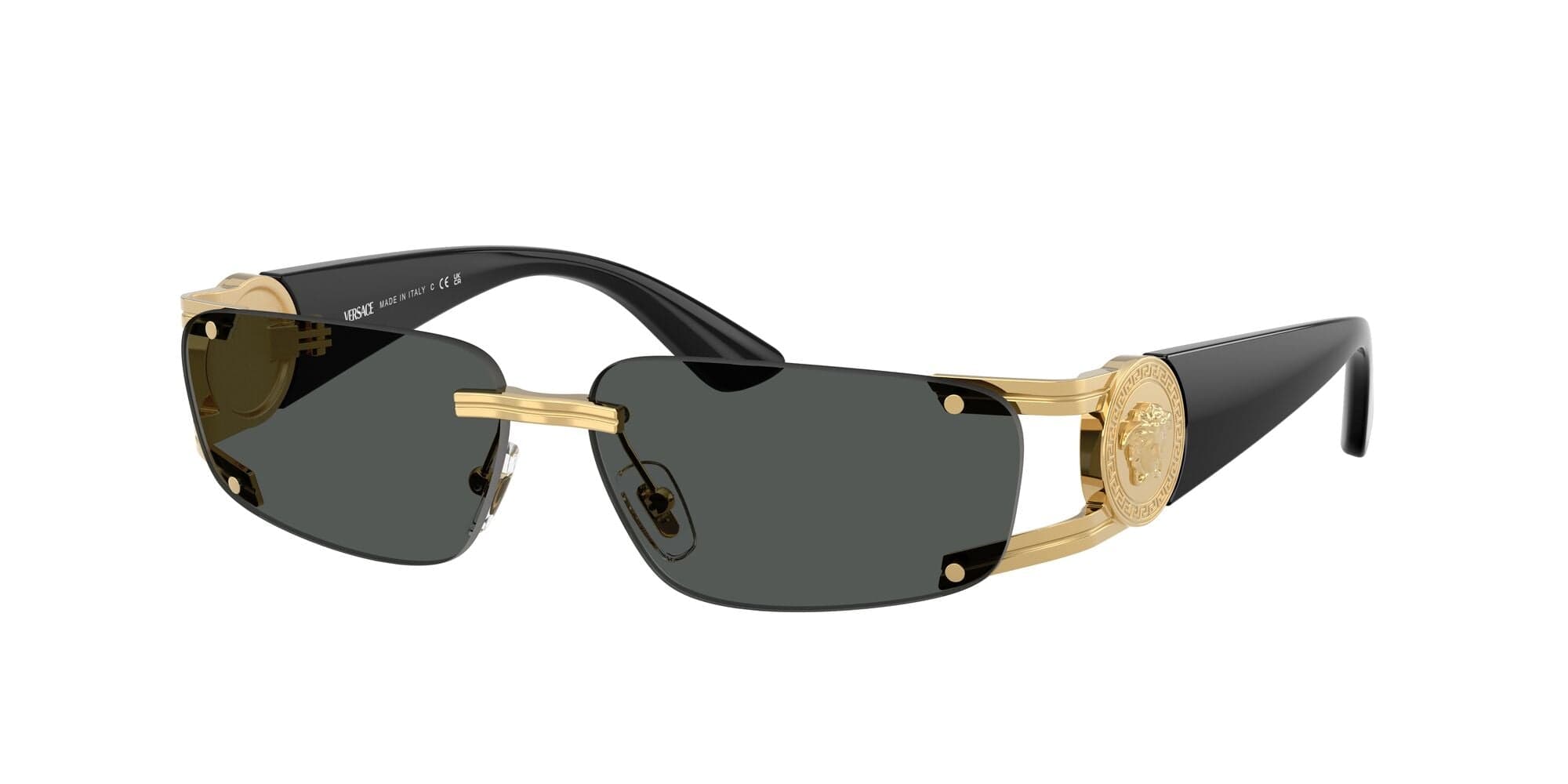 VE2291 100287 gold/dark grey lens