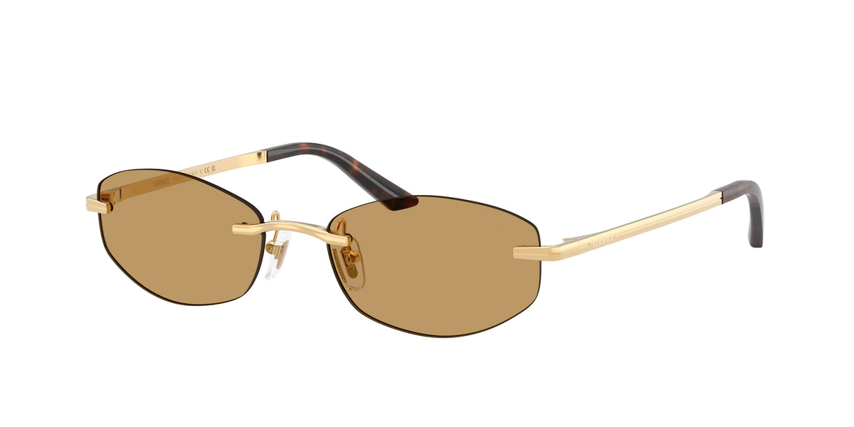 VE2308D 152373 gold/brown lens