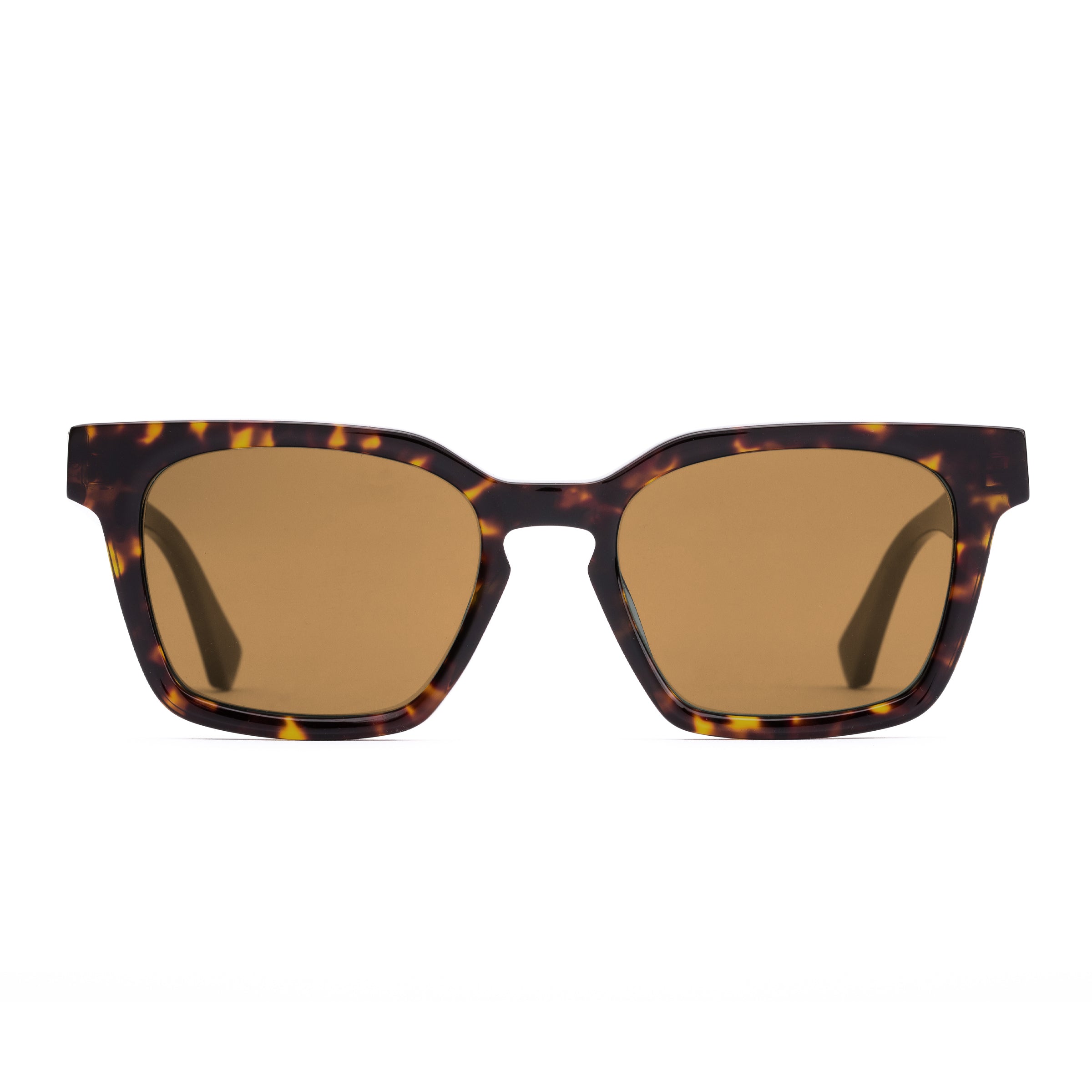 Untitled 203-2501 eco matte hinton tortoise/brown lens