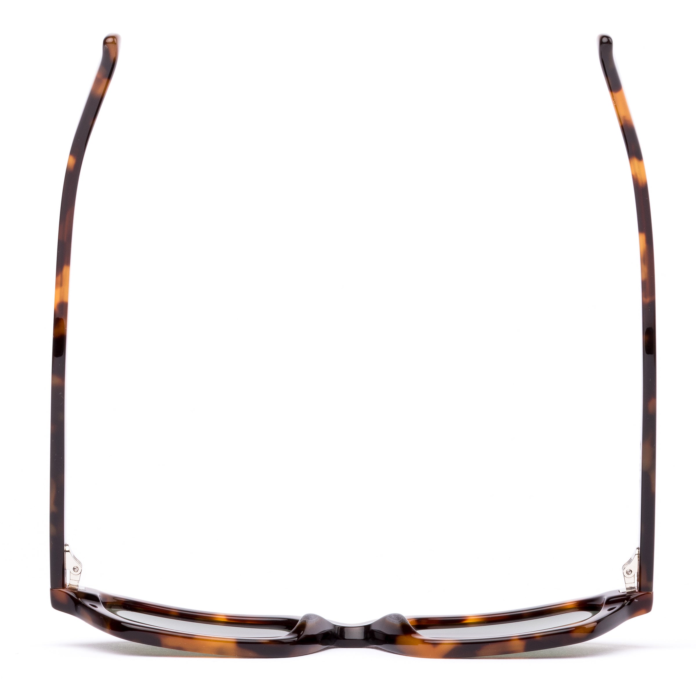 Metric 206-2601P eco sepia tortoise/grey polarised lens