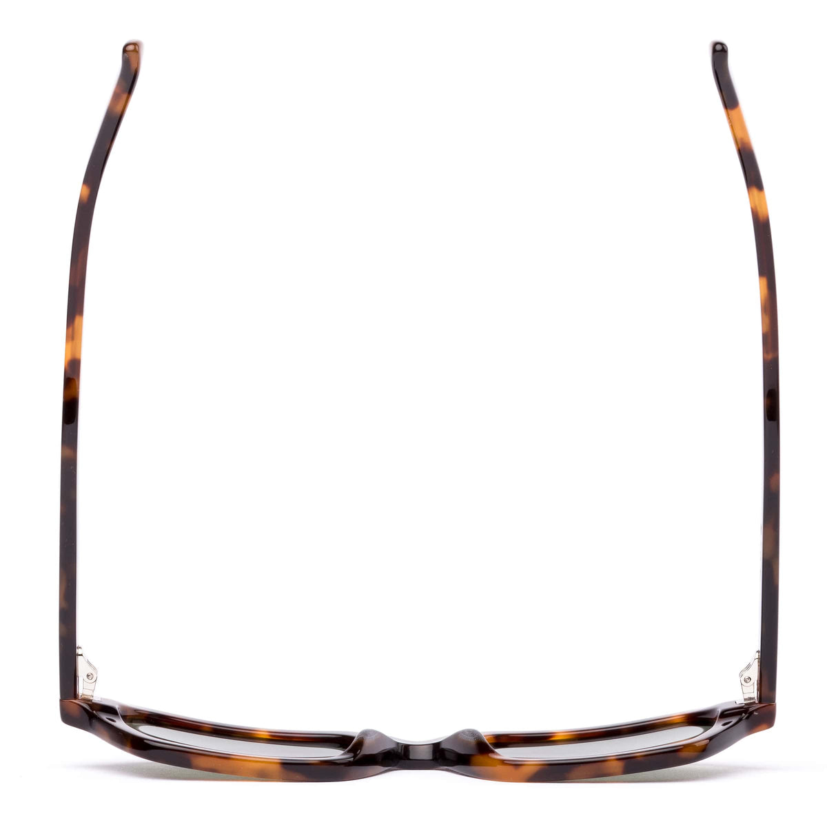 Metric 206-2601P eco sepia tortoise/grey polarised lens