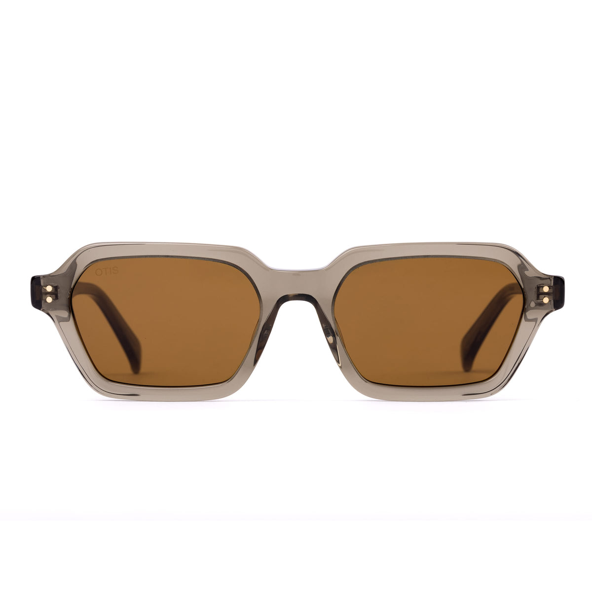 Metric 206-2602 eco crystal fern/brown lens