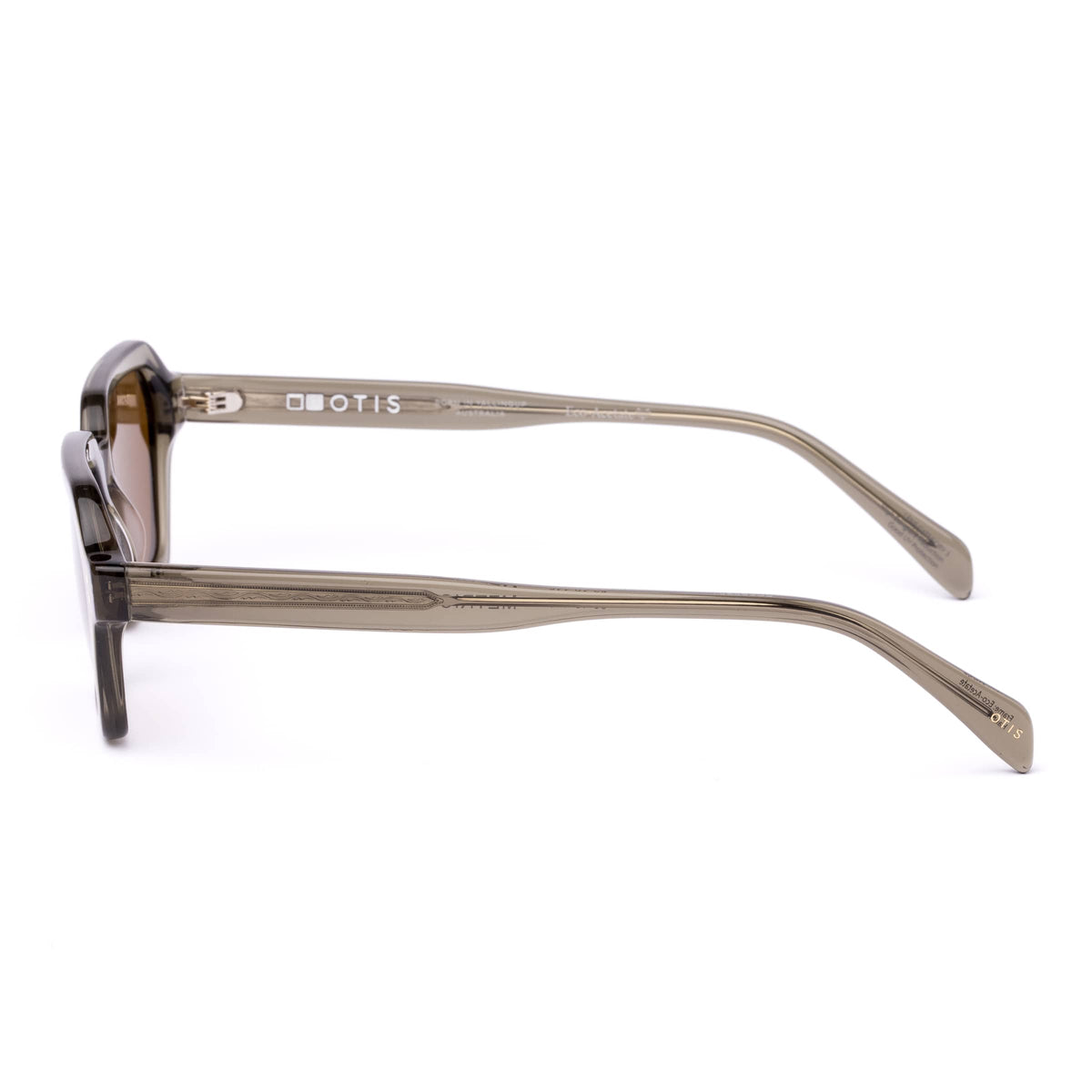 Metric 206-2602 eco crystal fern/brown lens