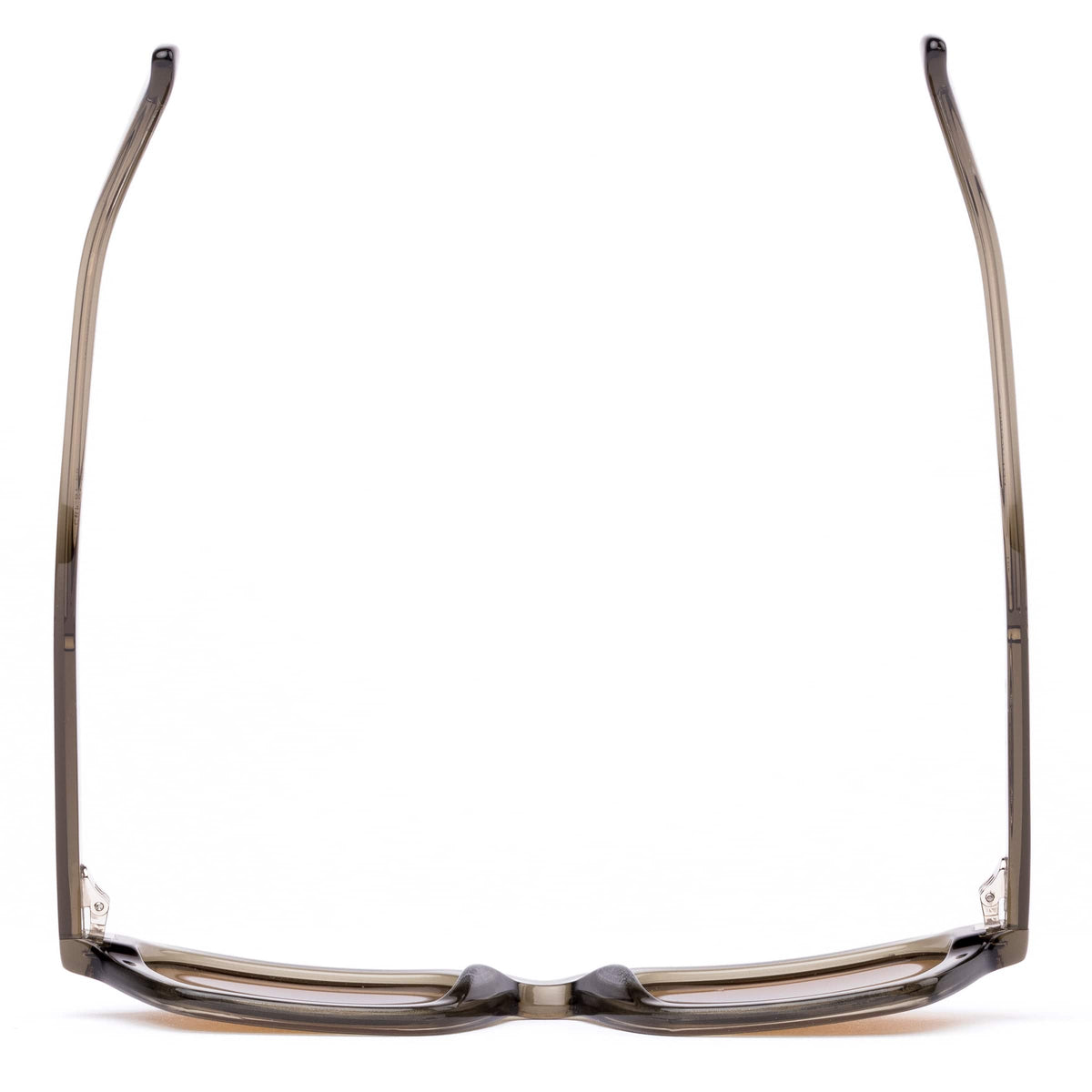 Metric 206-2602 eco crystal fern/brown lens