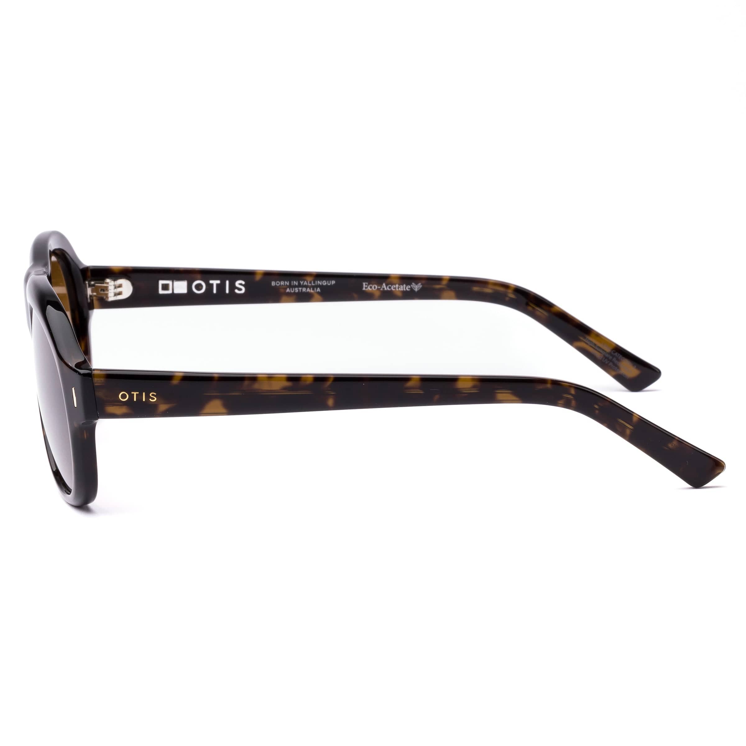 Kingswood 207-2503 eco umber tortoise/brown lens