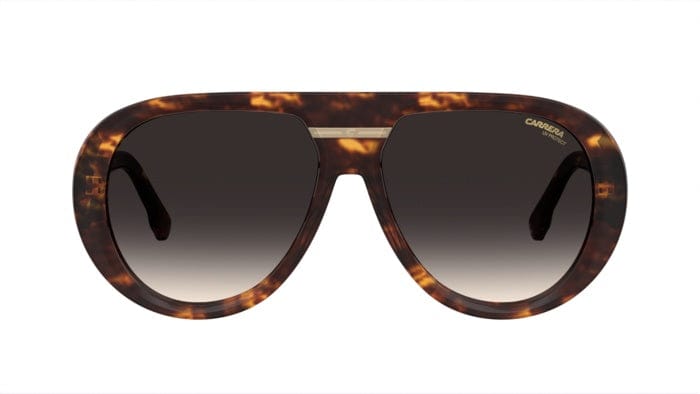 Victory C /22S WR9 havana/grey gradient lens