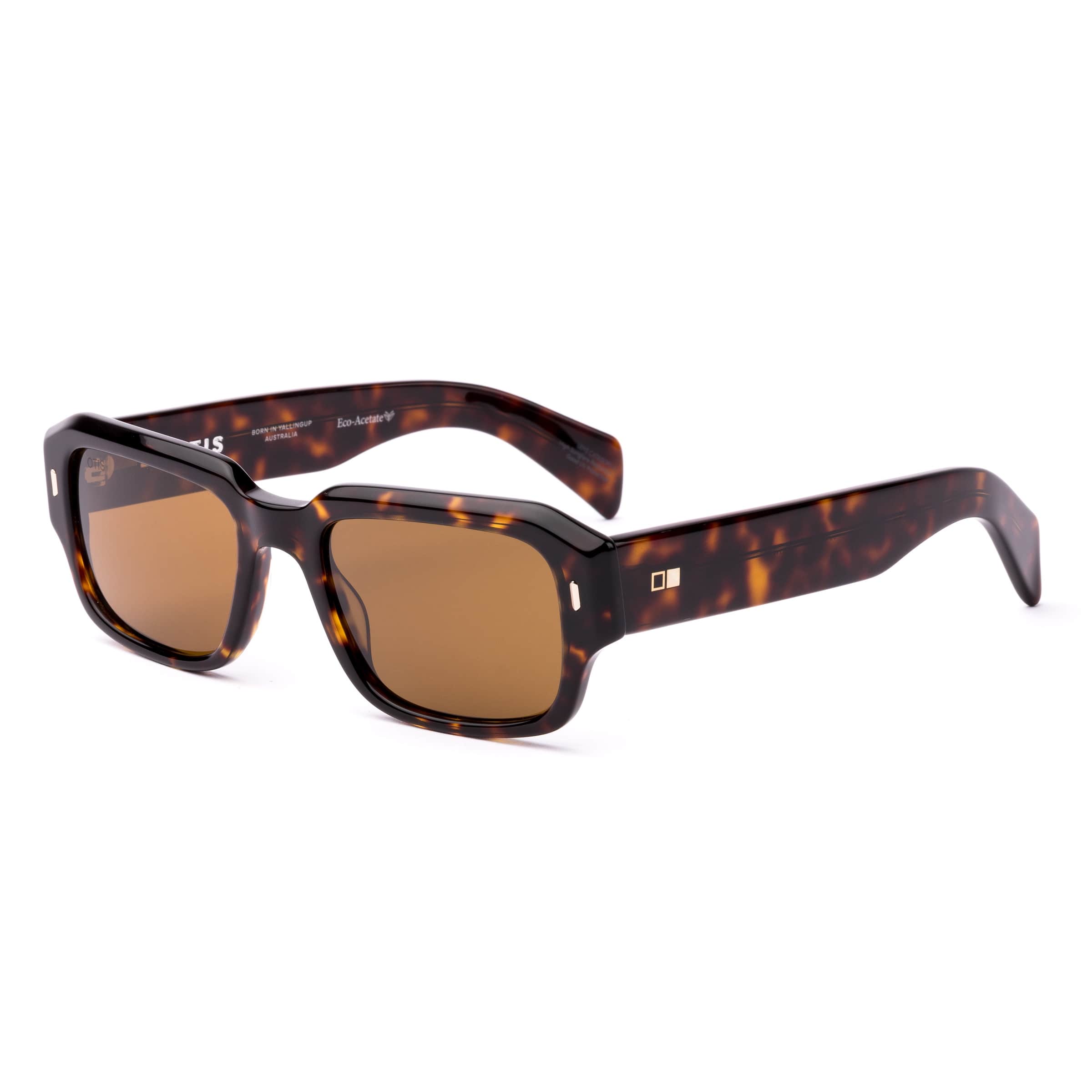 Jam 217-2602 eco havana/brown lens