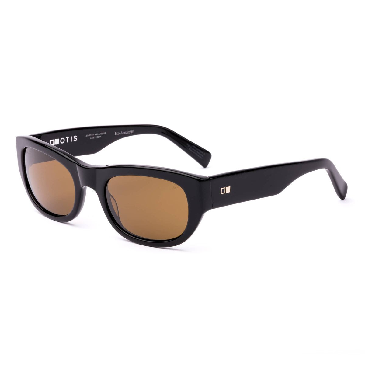Echoes 220-2601P eco black/brown polarised lens