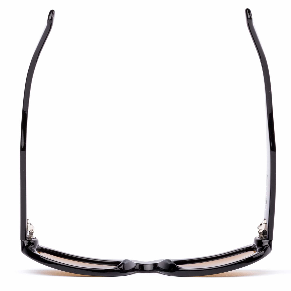 Echoes 220-2601P eco black/brown polarised lens