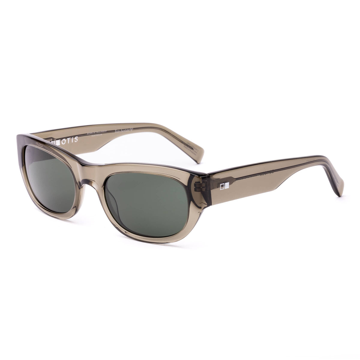 Echoes 220-2602 eco crystal fern/grey lens