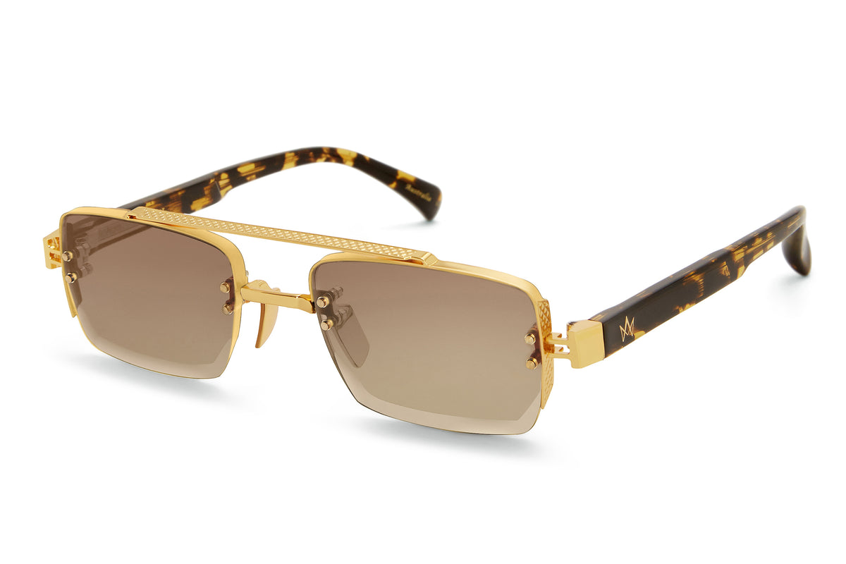Ashan gents tortoise /brown gradient lens