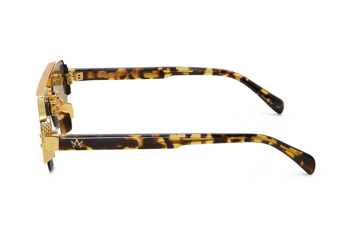 Ashan gents tortoise /brown gradient lens