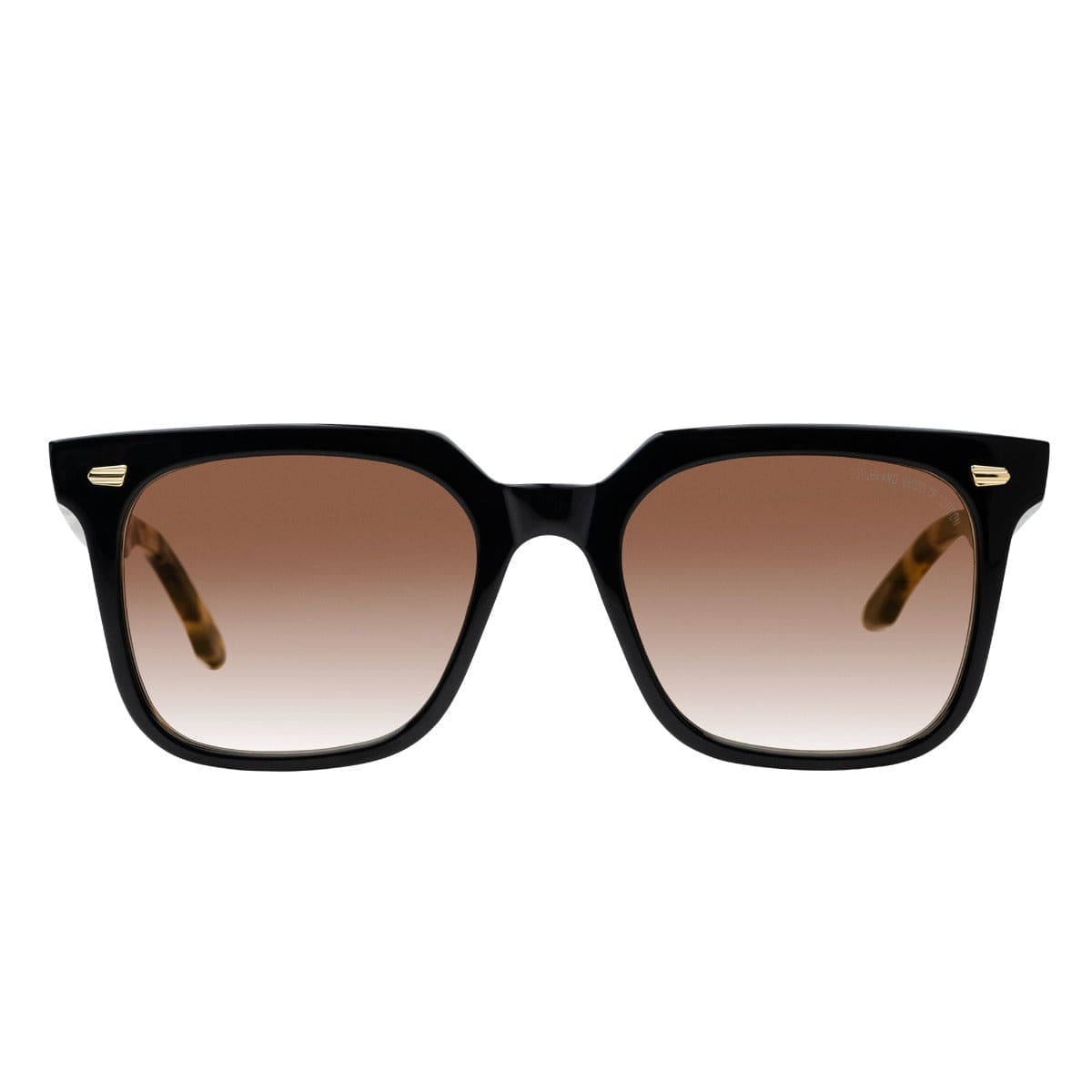 CGSN1387 02 black/tort brown gradient lens