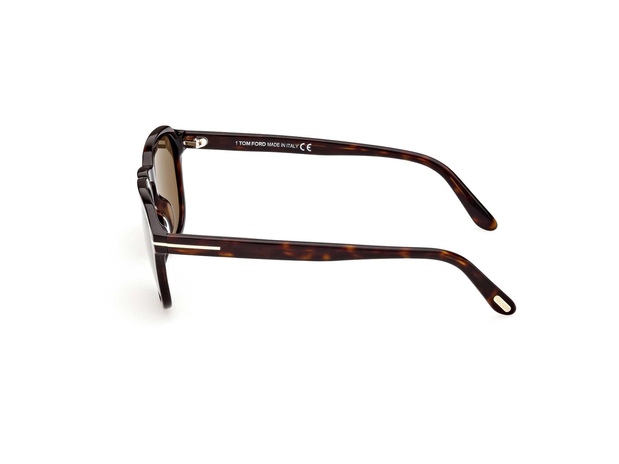 TF931 52H Avery havana/polarised brown lens