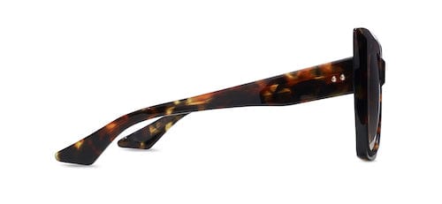 Telemaker DTS704-A-02-Z tortoise frame/brown gradient lens