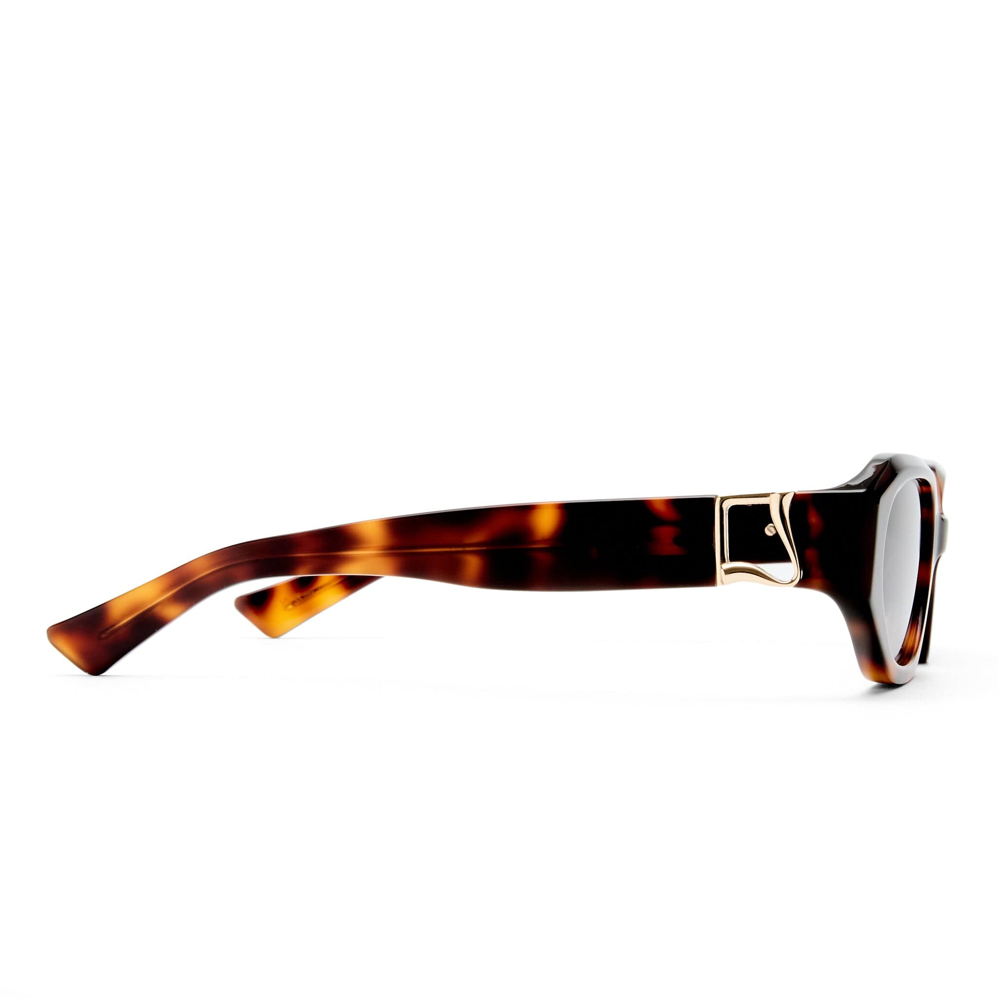 The Freddie 2531816 tort/grey gradient lens