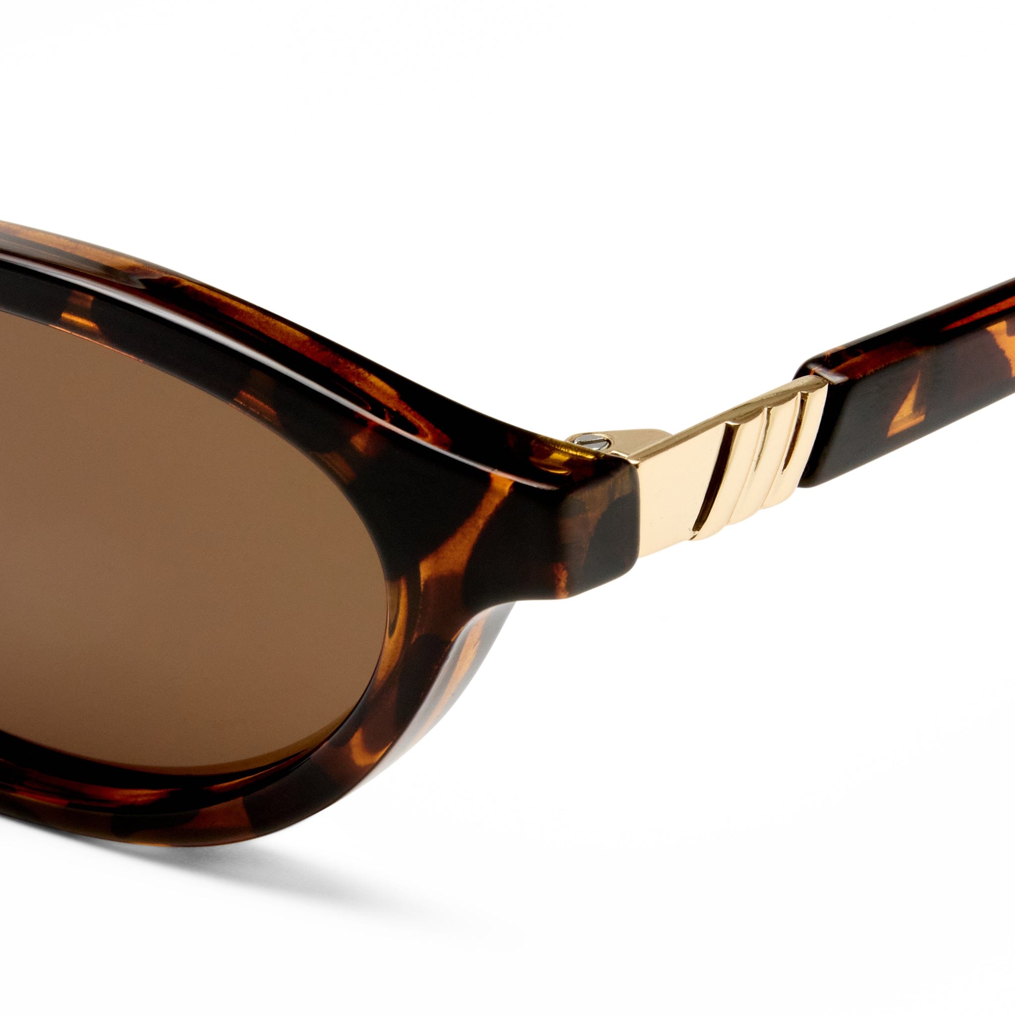 Duskfall 2552297 tortoise/brown lens