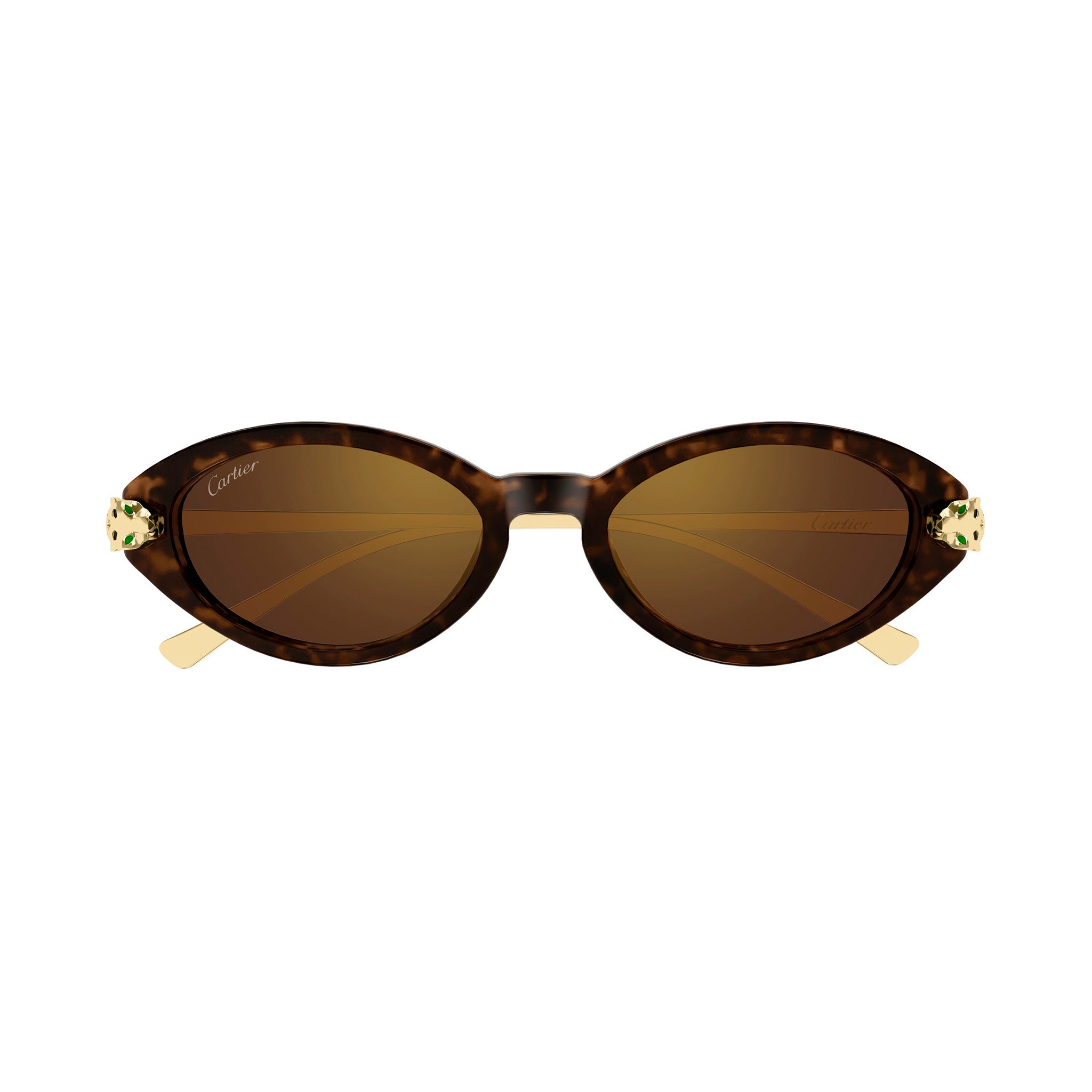 CT0634S 002 Panthere 18k havana/brown lens