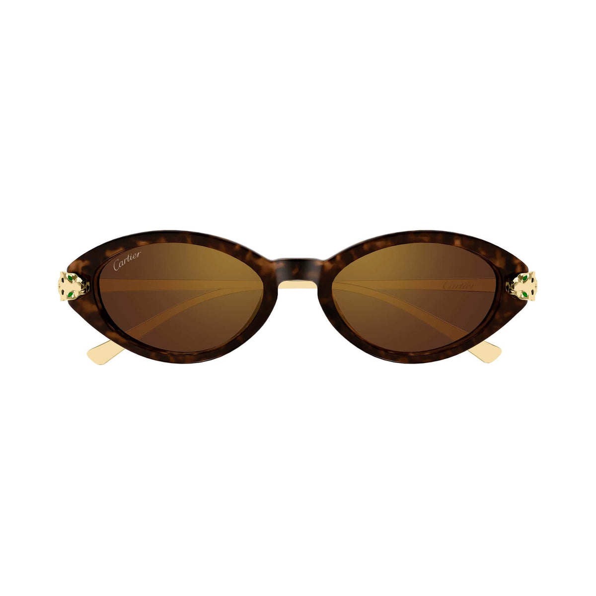 CT0634S 002 Panthere 18k havana/brown lens