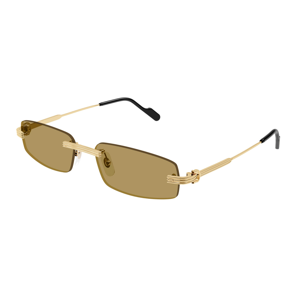 CT0535S 003 18k gold/brown lens