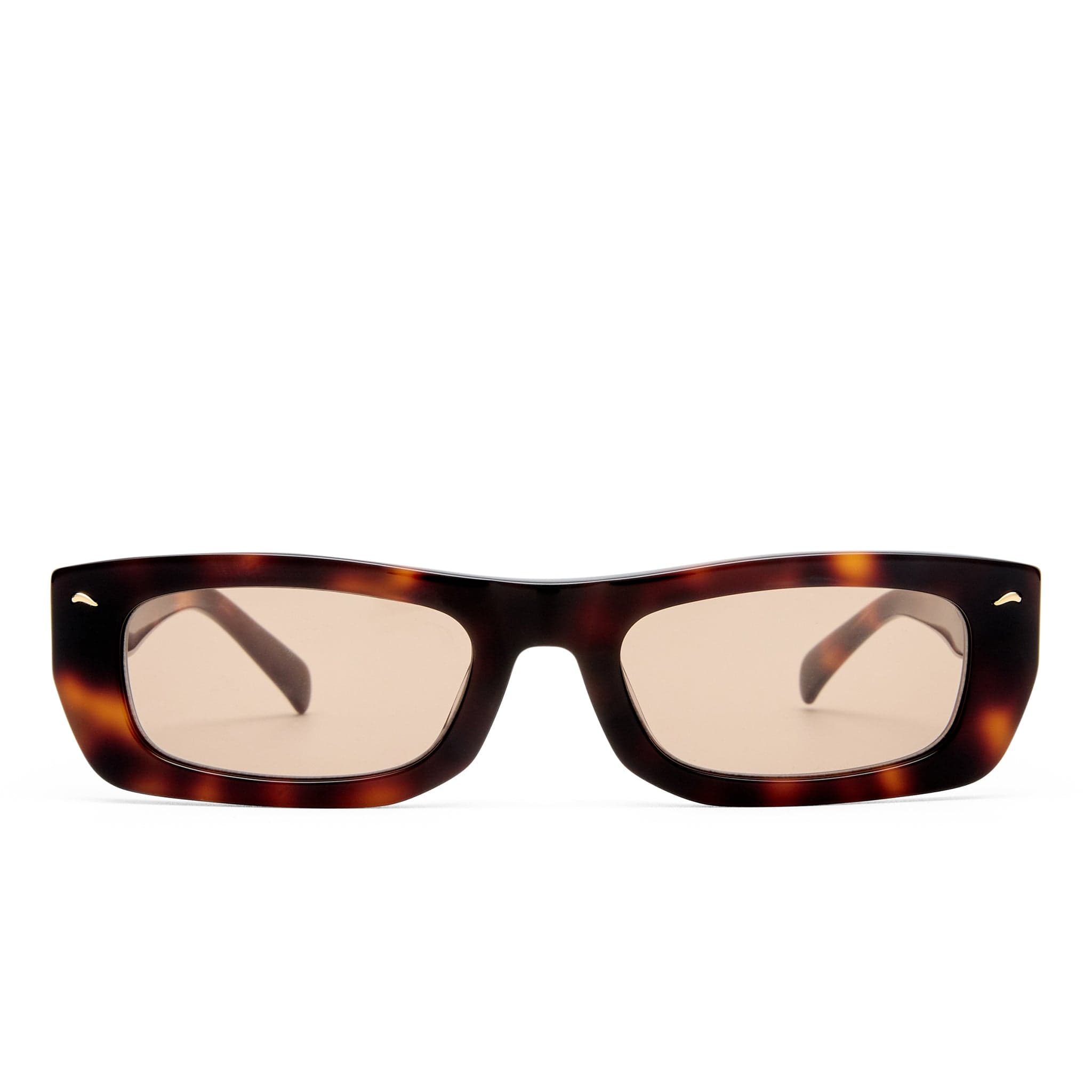 The Tommy 2531784 tortoise/brown tint lens