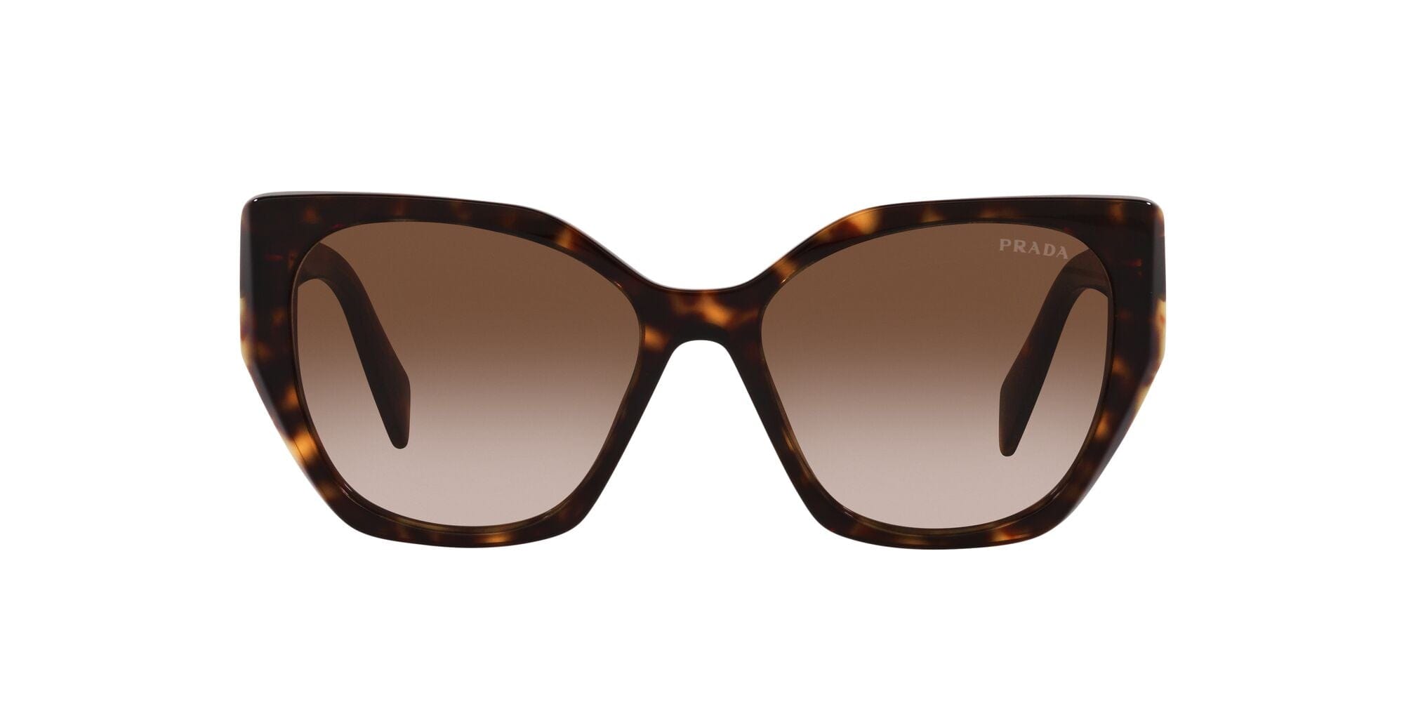 SPR19ZS 2AU6S1 tortoise brown gradient lens