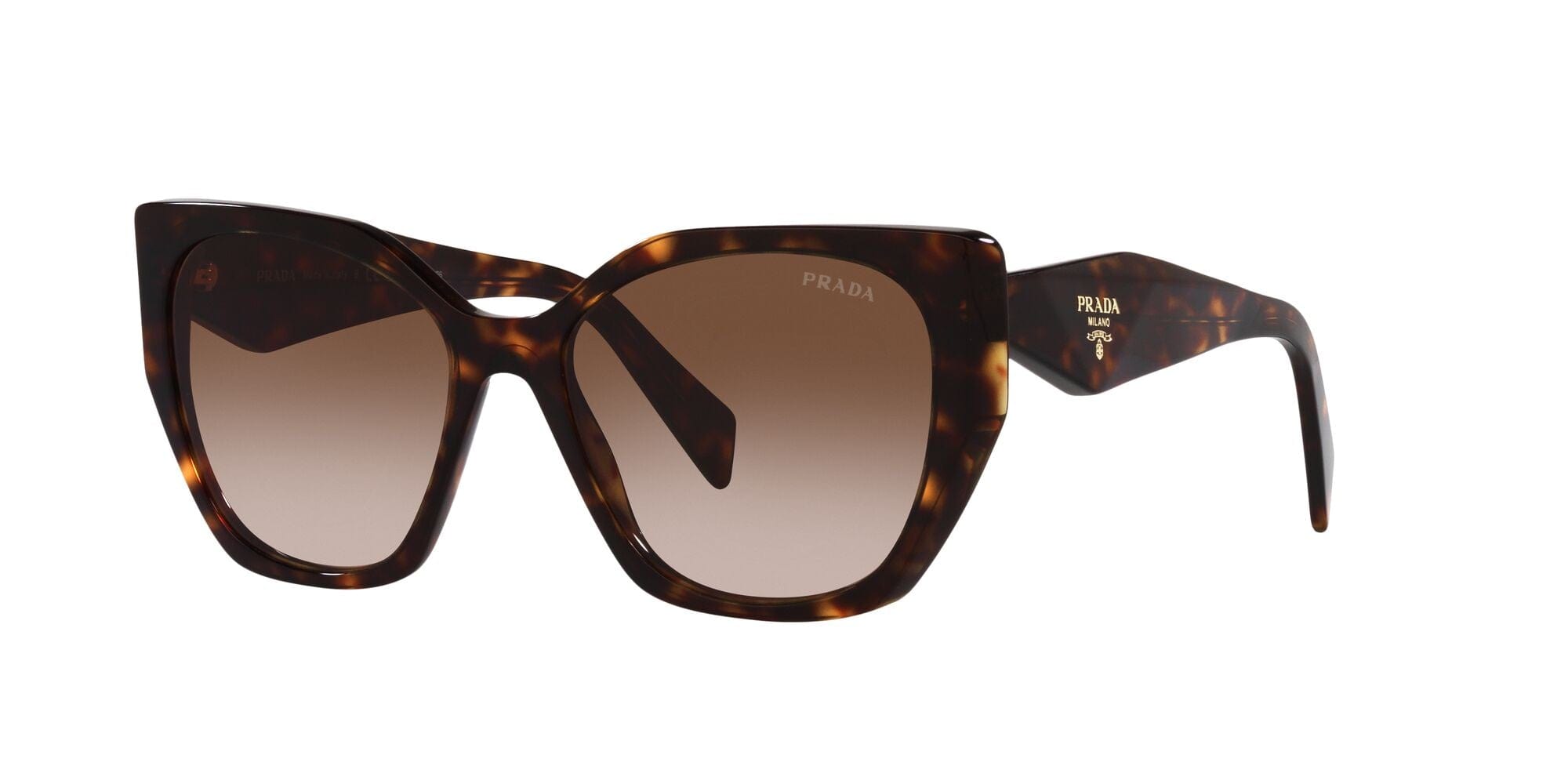 SPR19ZS 2AU6S1 tortoise brown gradient lens