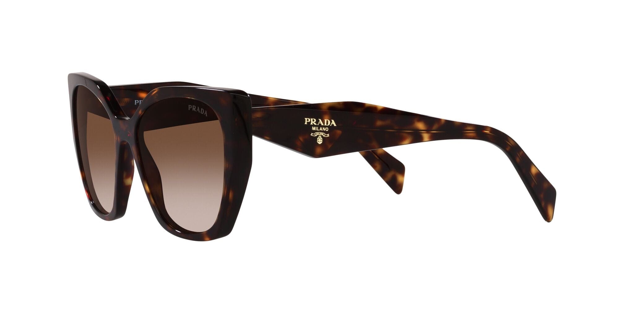 SPR19ZS 2AU6S1 tortoise brown gradient lens