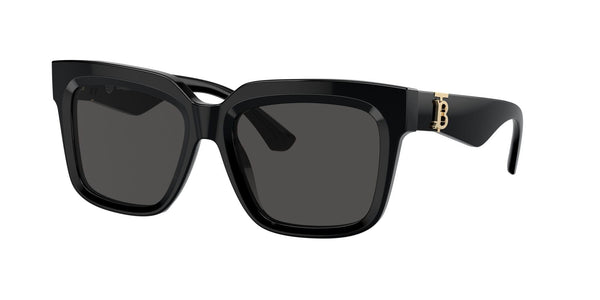 BE4419 300187 black/dark grey lens