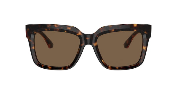 BE4419F 300273 dark havana/dark brown lens