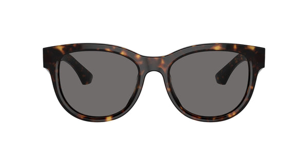 BE4432U 300281 havana/grey polarised lens