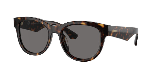 BE4432U 300281 havana/grey polarised lens